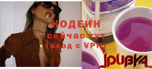 прущие грибы Нея