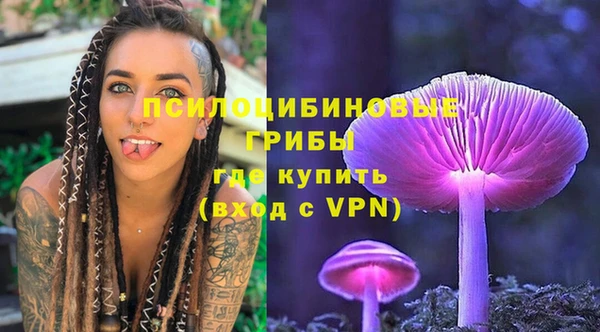 гидропоника Абаза