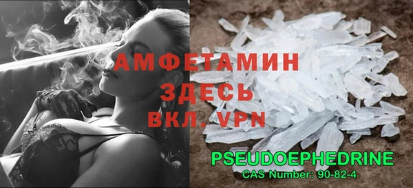 прущие грибы Нея