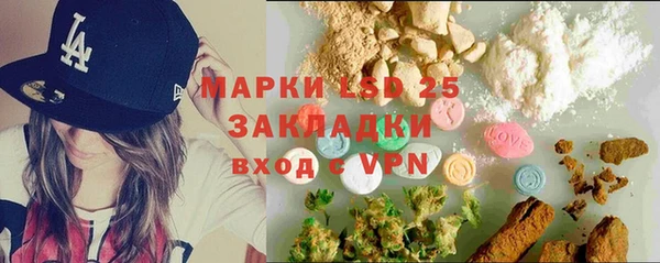 прущие грибы Нея