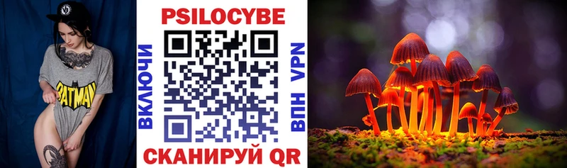 Галлюциногенные грибы прущие грибы  Брюховецкая 
